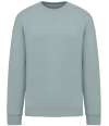 NS407 Oversized Sweatshirt jade green colour image